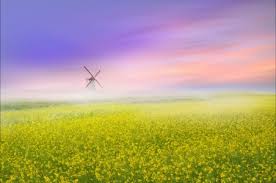 可以稳定使用的苹果VPN推荐-iphone苹果ios小火箭