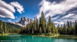 如何解决iPhone iPad上的YouTube应用崩溃问题-iphone苹果ios小火箭