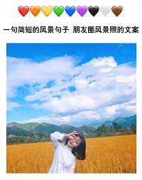 如何在 iPhone、iPad 上从 Instagram 下载视频、Reels、Story 和 IGTV-iphone苹果ios小火箭